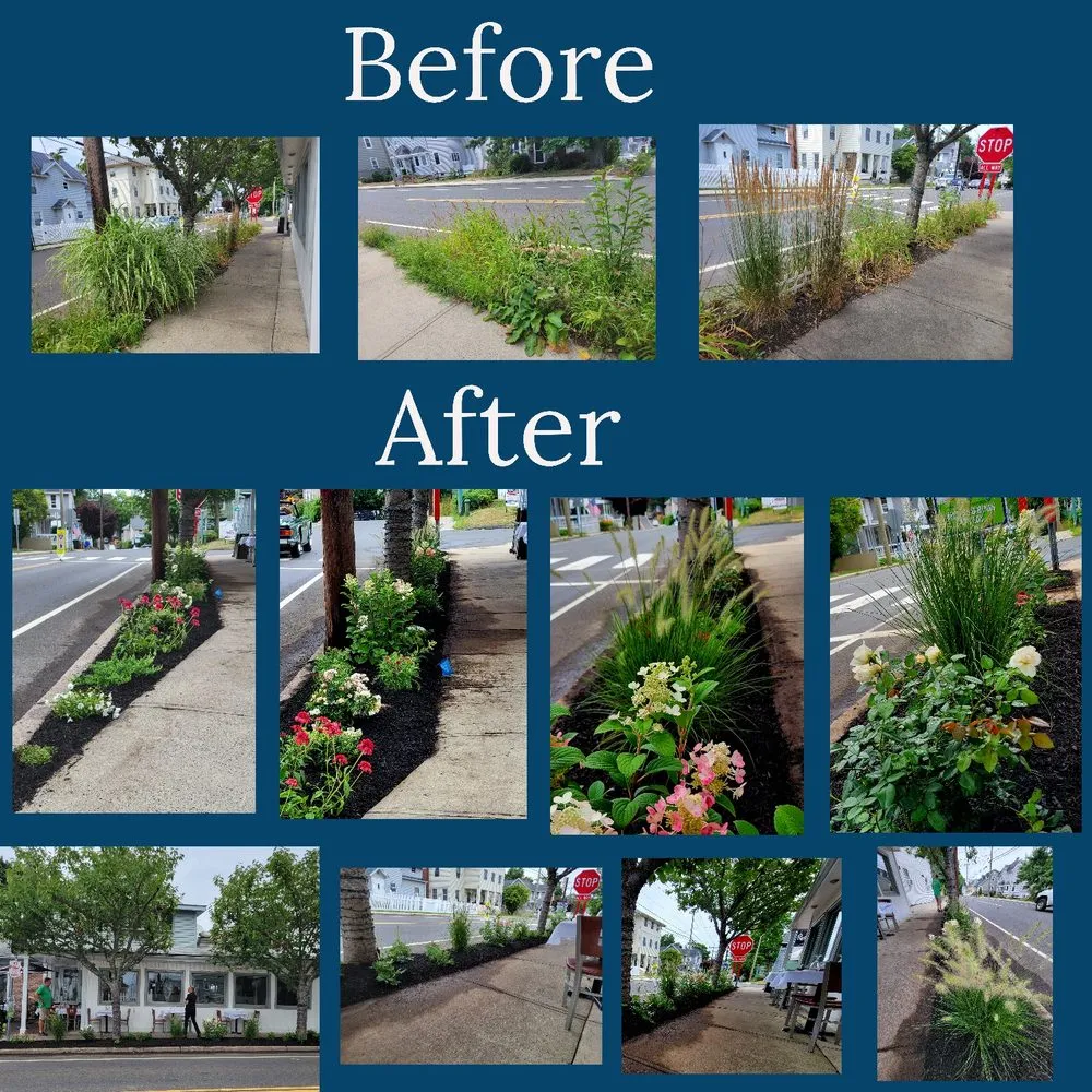 Top-rated garden landscaping for outdoor upgrades across Branford, CT - Shorehaven Landscape