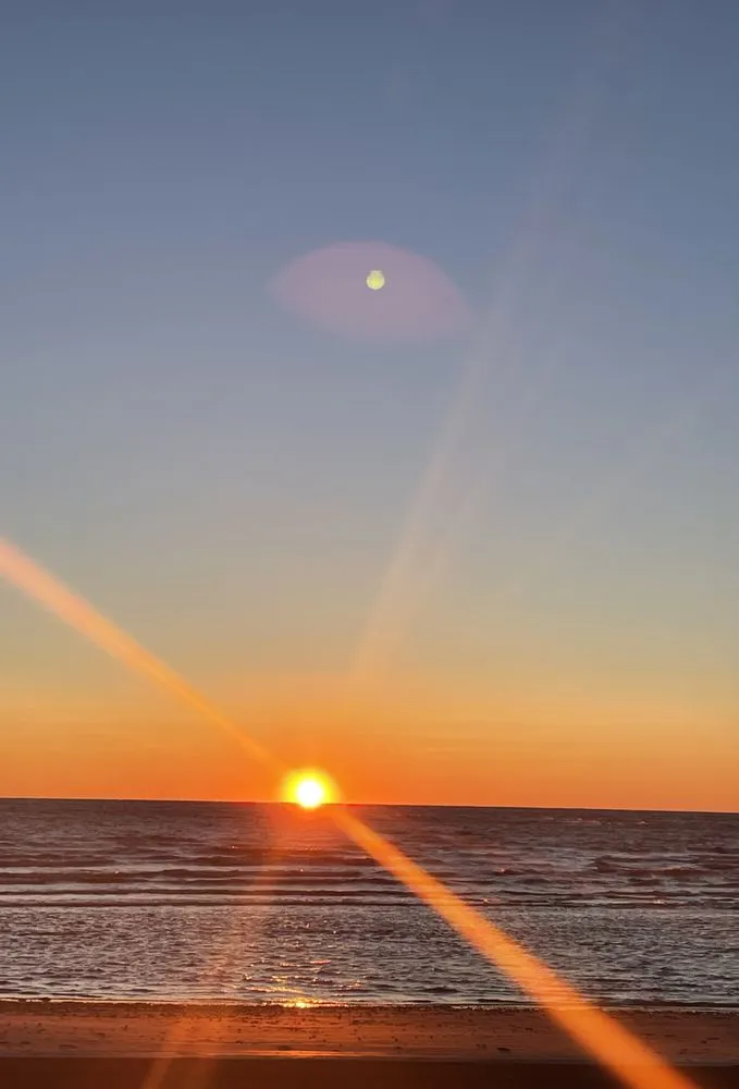 Reliable landscape design in Old Saybrook, CT - ShoreLawn