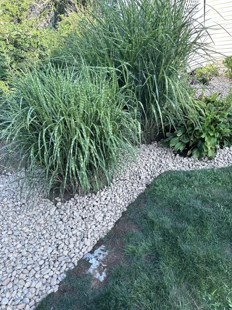 Expert residential landscaping for homes across Old Saybrook, CT - ShoreLawn