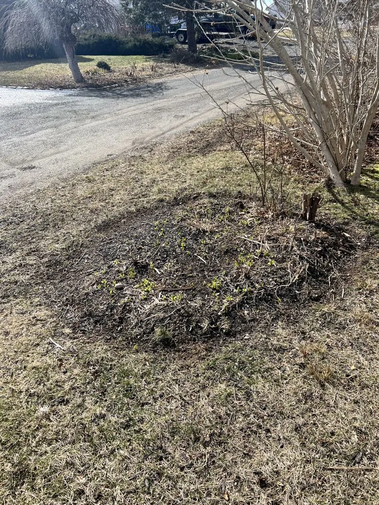 Reliable lawn care service near you in Old Saybrook, CT by ShoreLawn