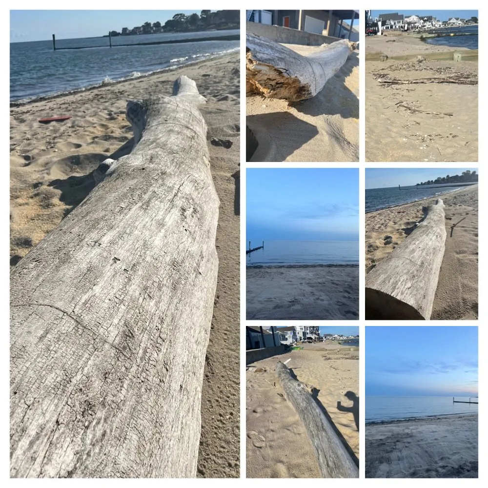 Local yard maintenance for year-round maintenance across Old Saybrook, CT - ShoreLawn