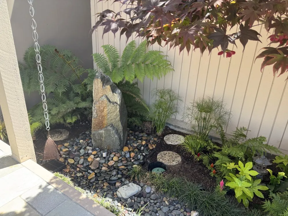 Trusted yard maintenance for beautiful yards across Lawndale, CA - Shoreline Landscaping