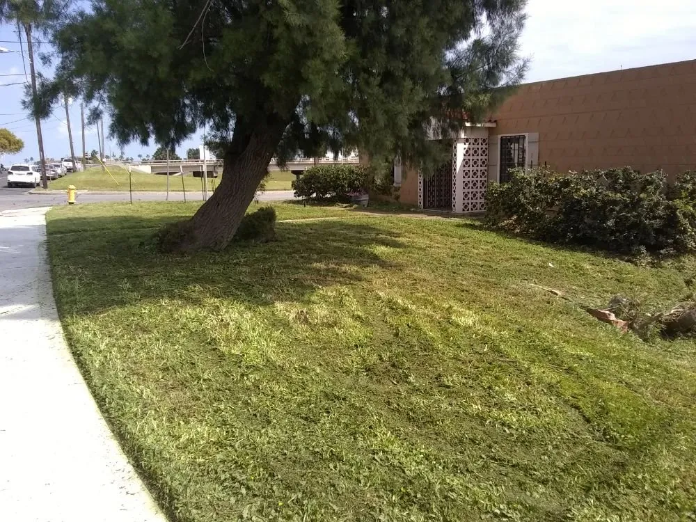 Expert yard maintenance in Corpus Christi, TX by Shoreline Lawn and Garden