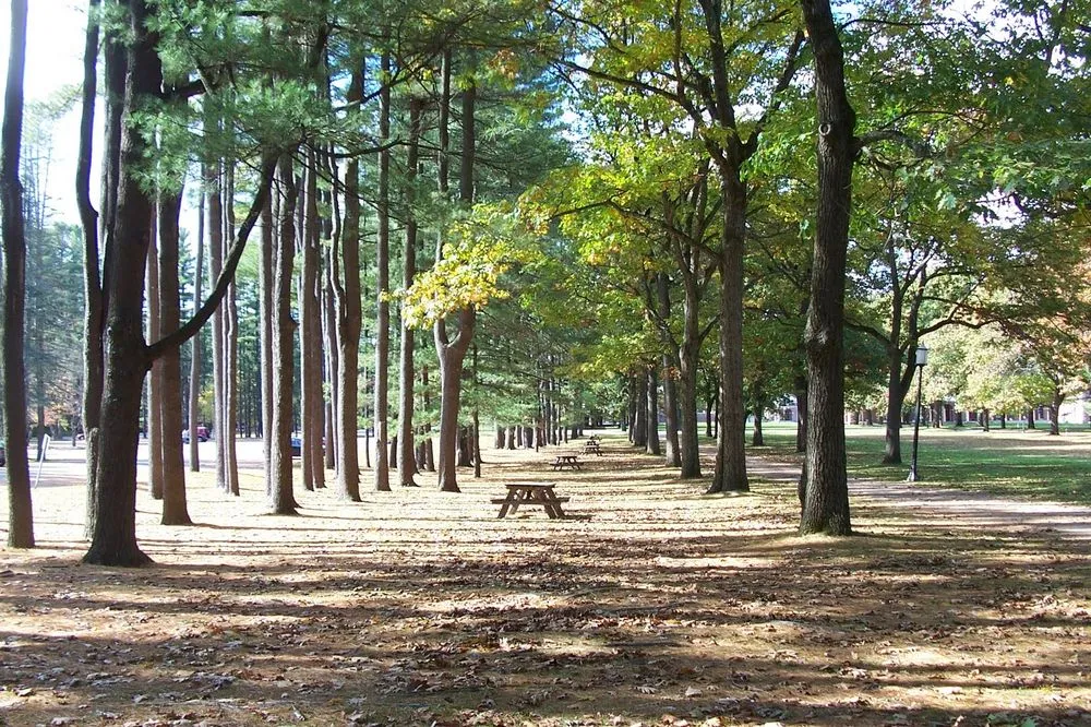 Trusted garden landscaping for homes across Corpus Christi, TX - Shoreline Lawn and Garden