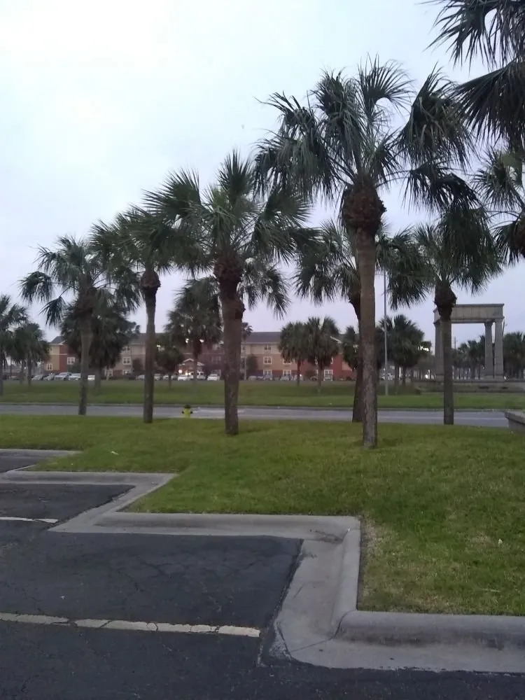 Affordable landscape installation in Corpus Christi, TX by Shoreline Lawn and Garden