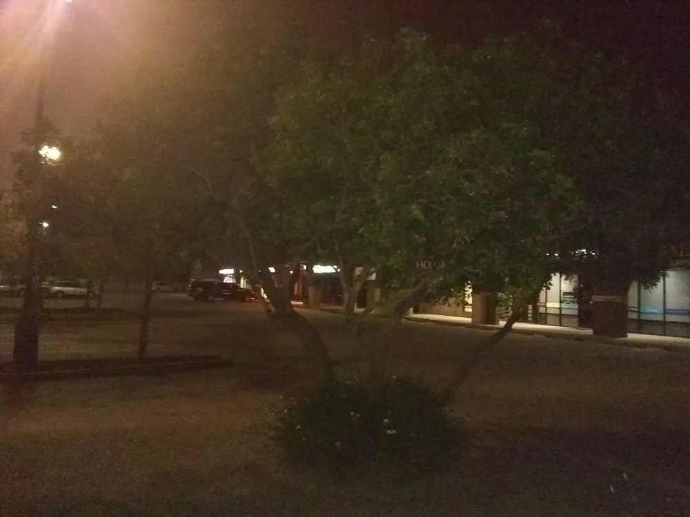 Reliable yard cleanup service for homes in Corpus Christi, TX by Shoreline Lawn and Garden