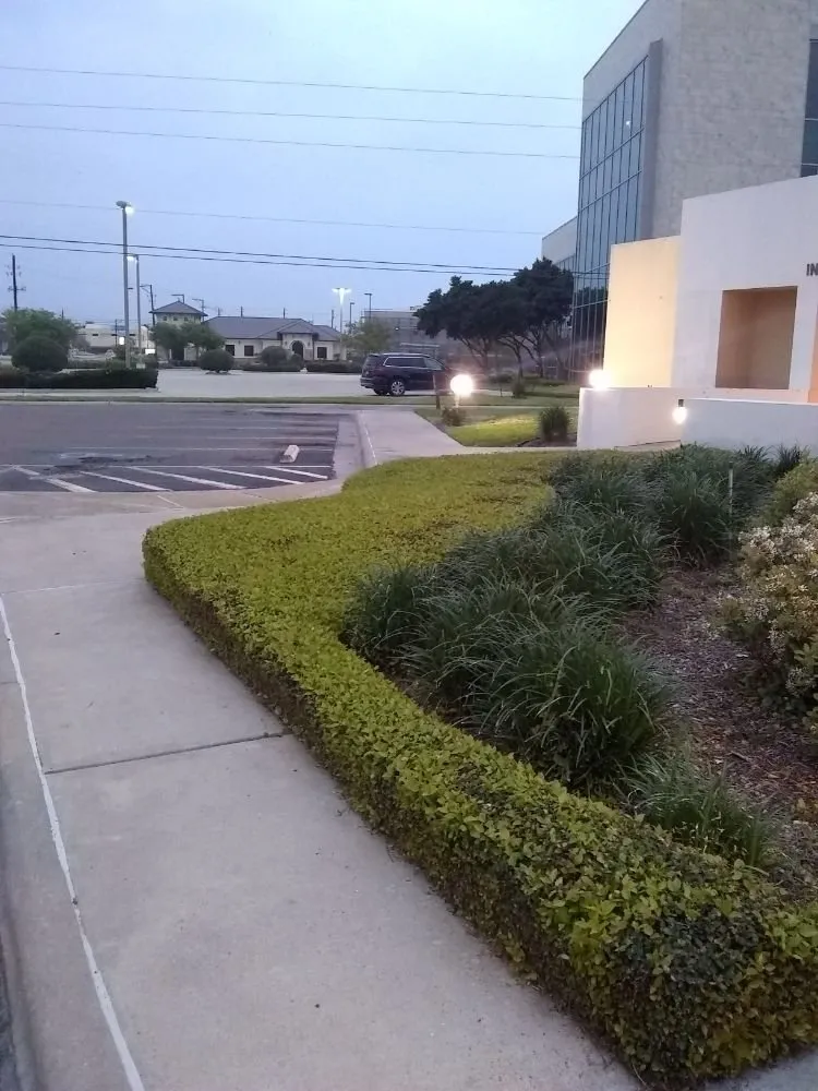 Reliable residential landscaping in Corpus Christi, TX by Shoreline Lawn and Garden