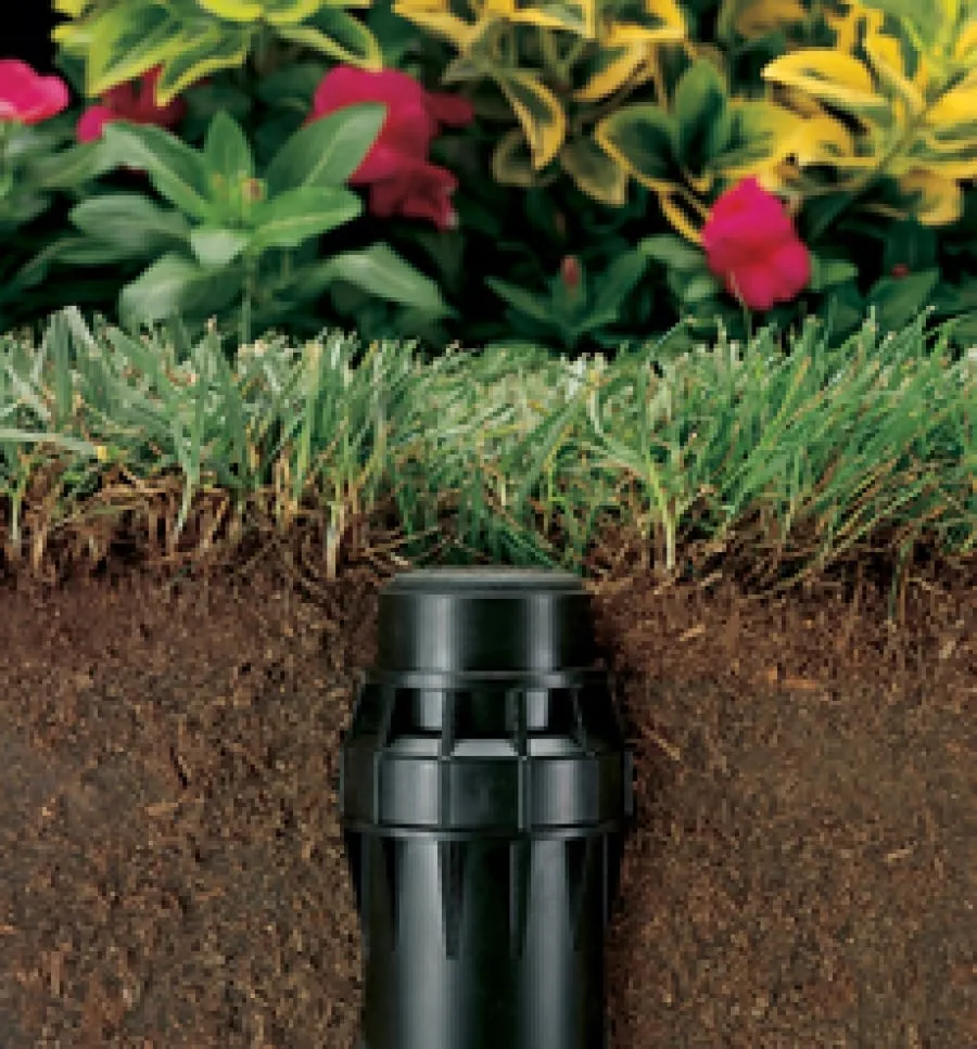 Trusted yard maintenance experts serving Westerly, RI - Shoreline Lawn Sprinklers