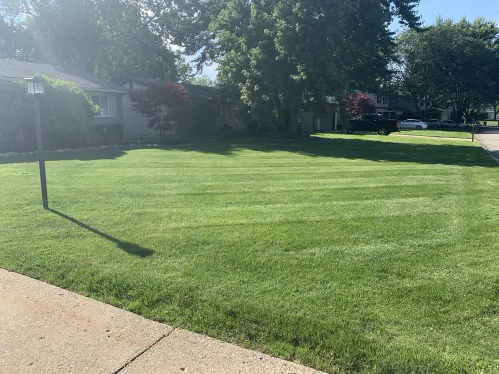 Top-rated lawn care service in Saint Clair Shores, MI by Shores Landscaping