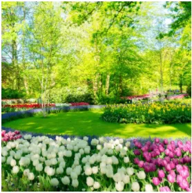 Top-rated residential landscaping with custom design in Clayton, DE by Shoreview Lawn and Tree