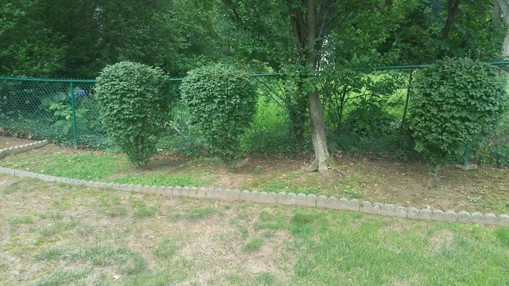 Trusted yard maintenance experts serving East Windsor, NJ - Short And Sweet Landscaping