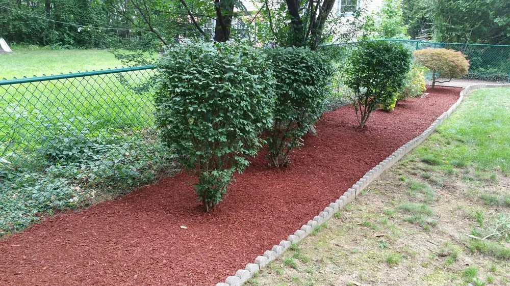 Expert yard cleanup service in East Windsor, NJ - Short And Sweet Landscaping