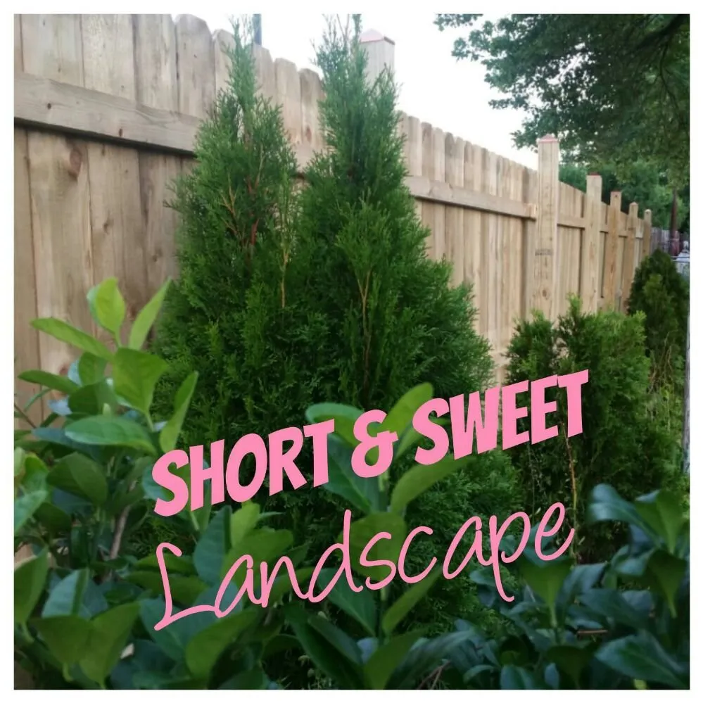 Expert landscape design in East Windsor, NJ by Short And Sweet Landscaping