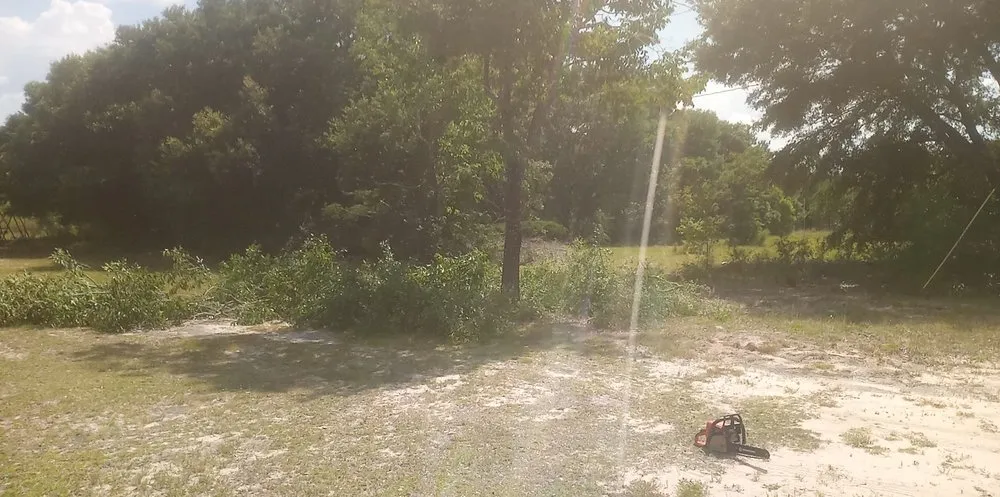 Custom outdoor landscaping in Milton, FL by Short Beast Tree Service and Lawn Care