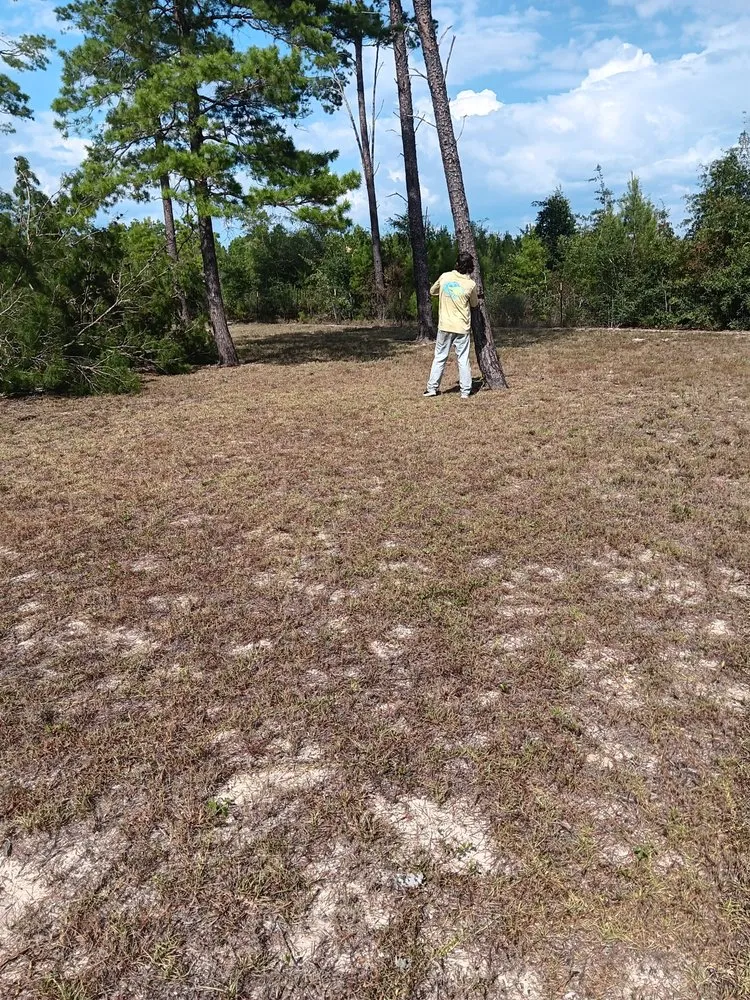 Affordable lawn care service near you across Milton, FL - Short Beast Tree Service and Lawn Care