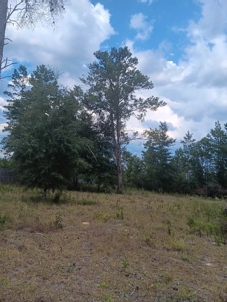 Local landscape installation for residential properties in Milton, FL by Short Beast Tree Service and Lawn Care