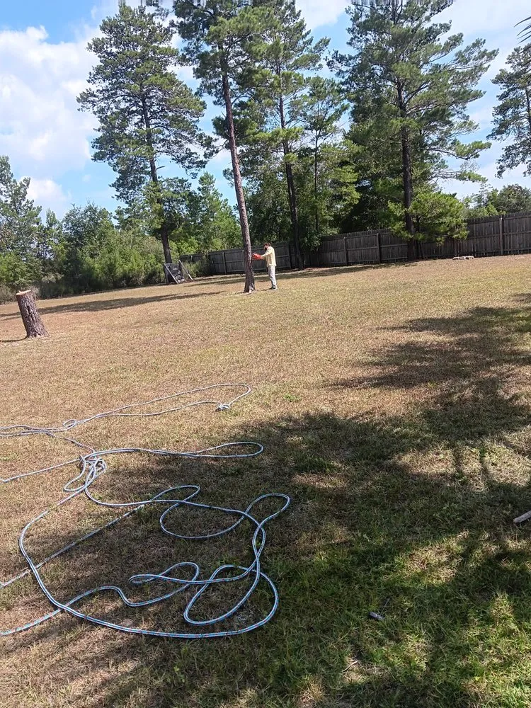 Professional yard maintenance in Milton, FL by Short Beast Tree Service and Lawn Care
