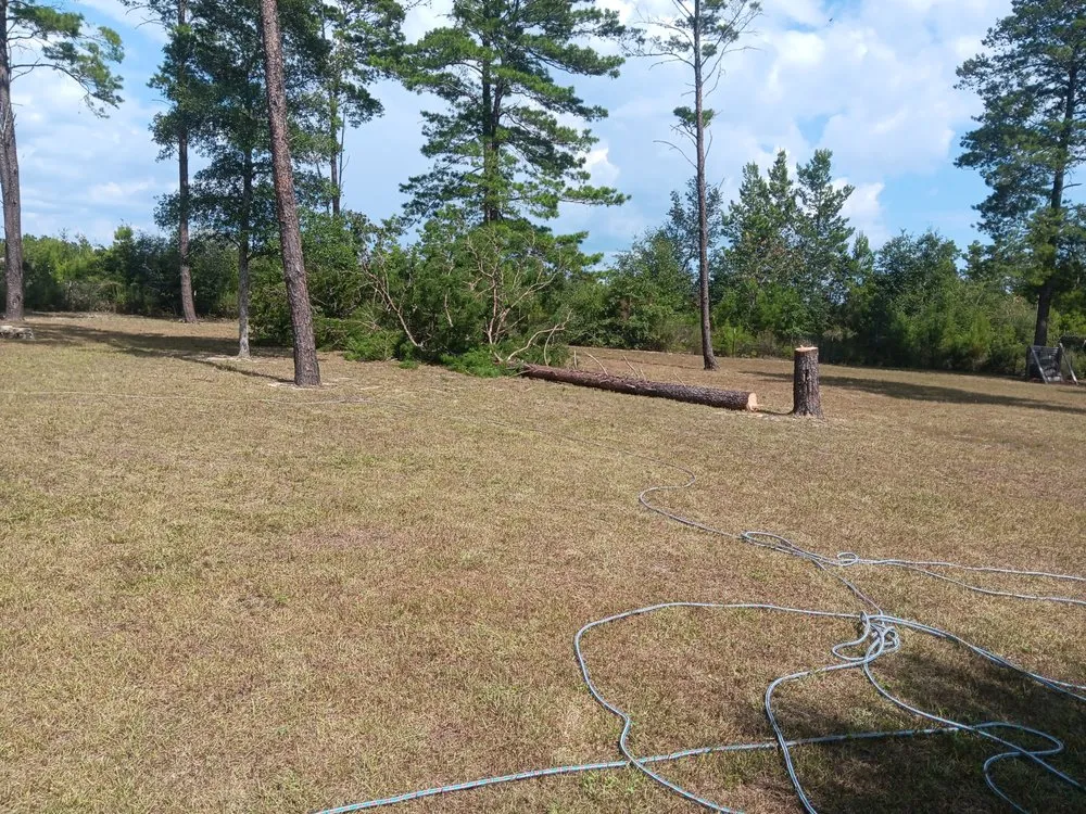 Top-rated outdoor landscaping for outdoor upgrades across Milton, FL - Short Beast Tree Service and Lawn Care