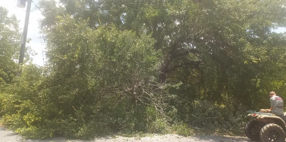 Top-rated lawn mowing service for outdoor upgrades across Milton, FL - Short Beast Tree Service and Lawn Care