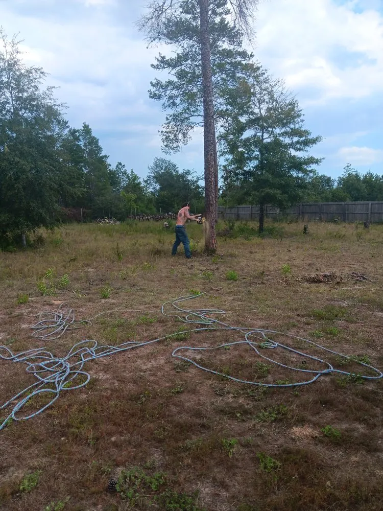 Professional residential landscaping near you in Milton, FL by Short Beast Tree Service and Lawn Care