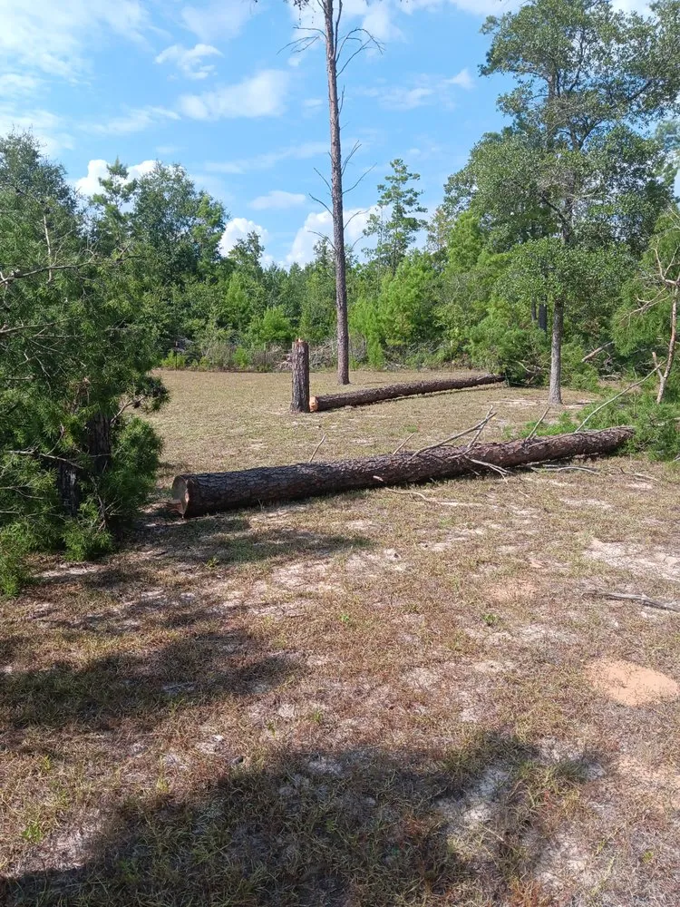 Reliable garden landscaping near you in Milton, FL by Short Beast Tree Service and Lawn Care