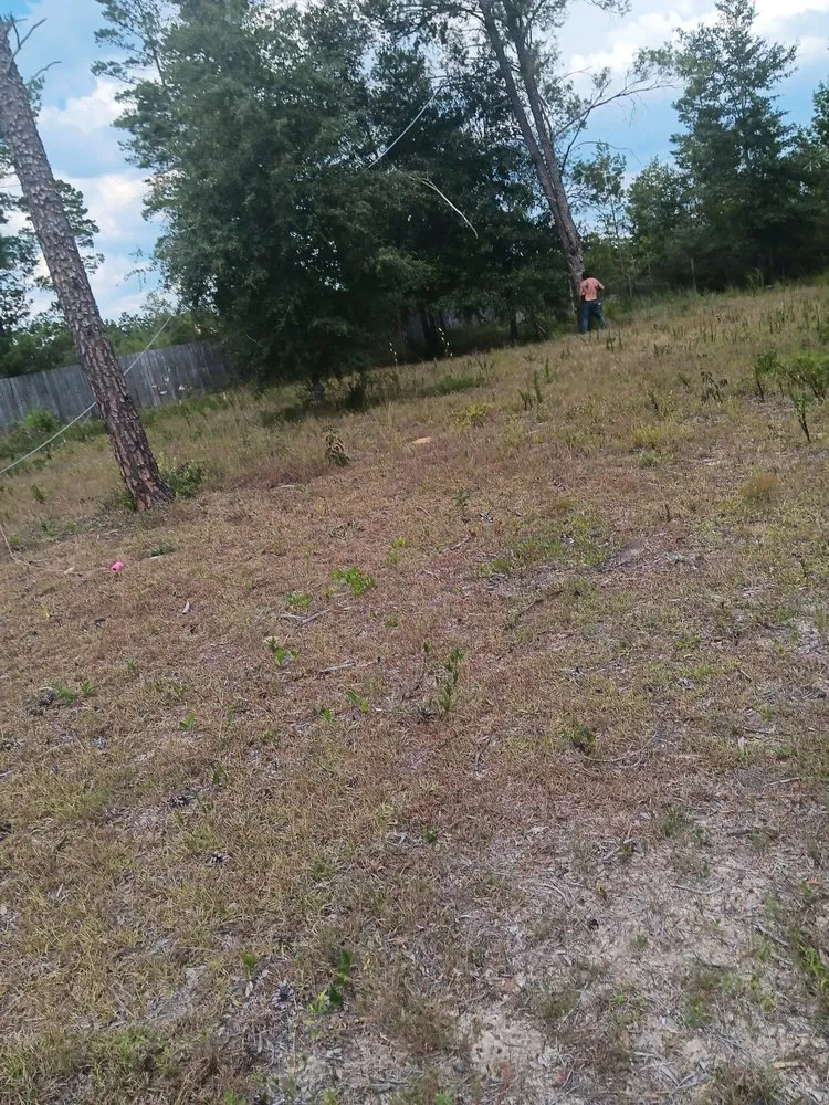 Expert garden landscaping experts serving Milton, FL - Short Beast Tree Service and Lawn Care