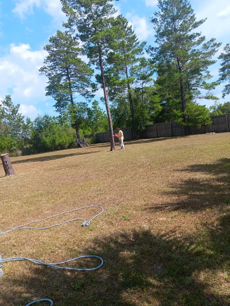 Affordable landscape installation experts serving Milton, FL - Short Beast Tree Service and Lawn Care