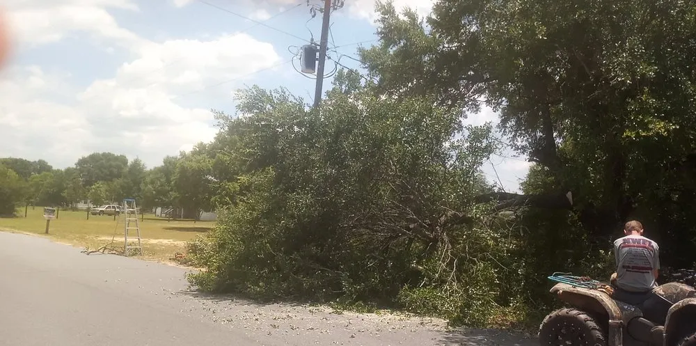 Local residential landscaping for beautiful yards in Milton, FL by Short Beast Tree Service and Lawn Care