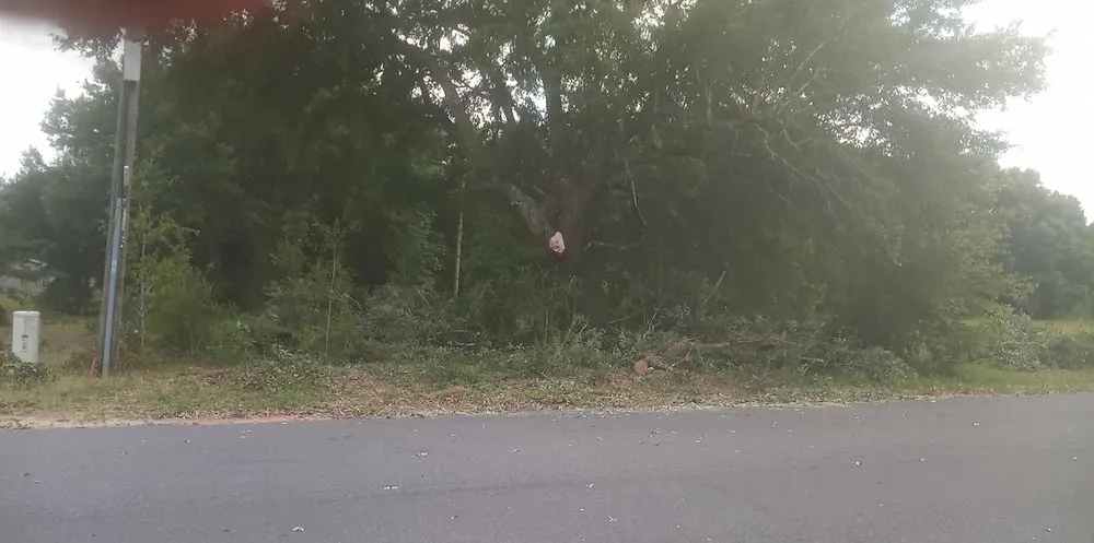 Affordable yard cleanup service for year-round maintenance across Milton, FL - Short Beast Tree Service and Lawn Care