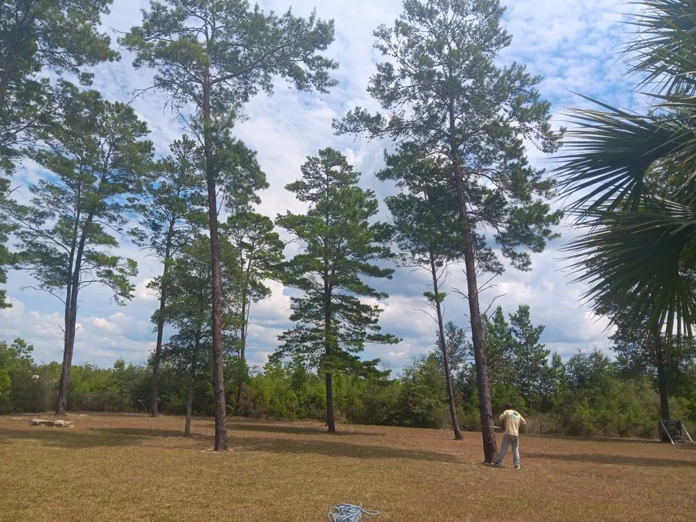 Trusted outdoor landscaping for residential properties across Milton, FL - Short Beast Tree Service and Lawn Care