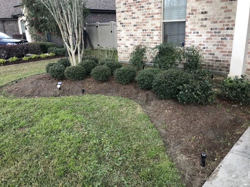Professional outdoor landscaping for year-round maintenance in Kenner, LA by Short Blade Lawncare