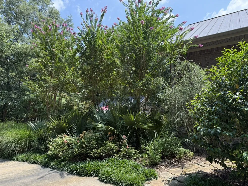 Local landscape installation in Madison, MS - Short Horticulture