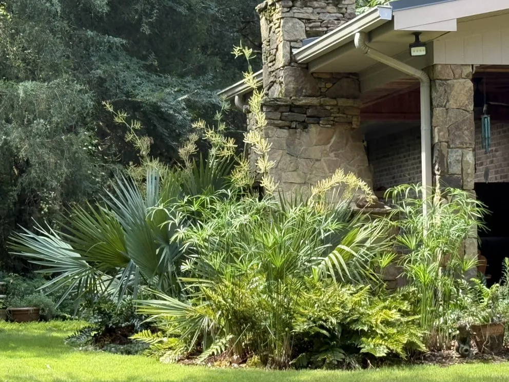 Reliable landscape installation in Madison, MS - Short Horticulture