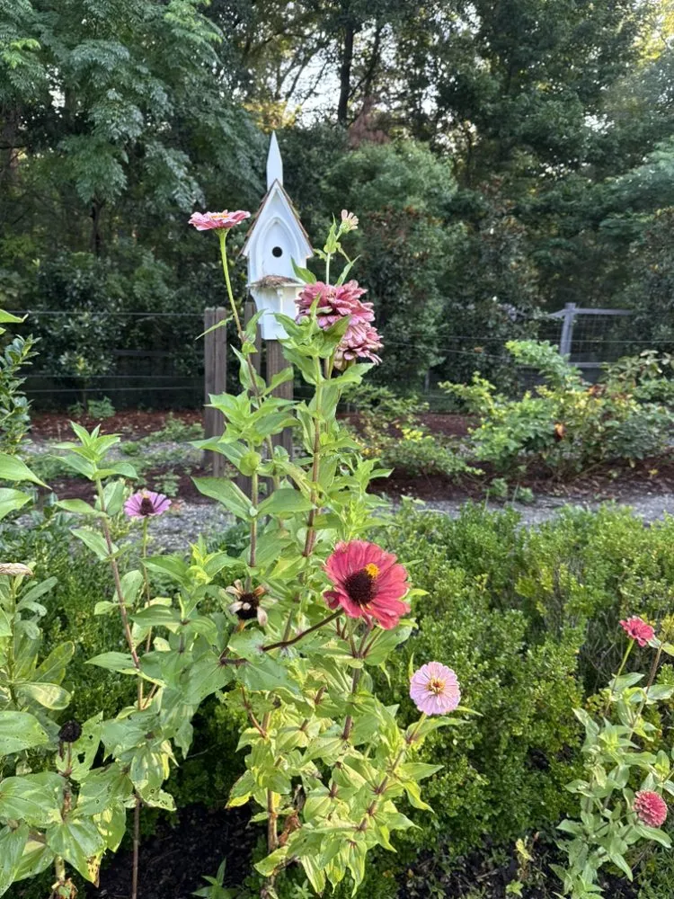 Trusted landscape design in Madison, MS - Short Horticulture