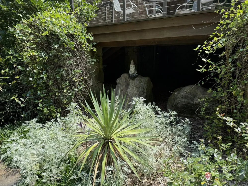 Professional lawn care service for residential properties across Madison, MS - Short Horticulture