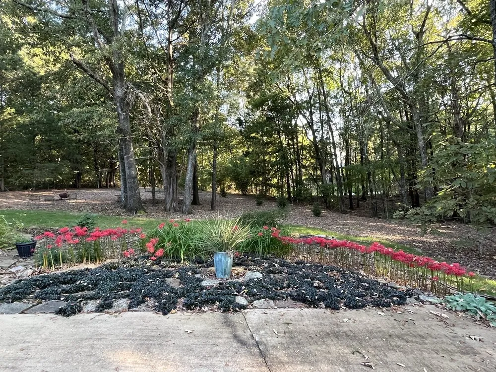 Expert landscape design in Madison, MS by Short Horticulture