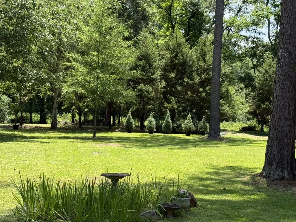 Custom landscape design for residential properties in Madison, MS by Short Horticulture