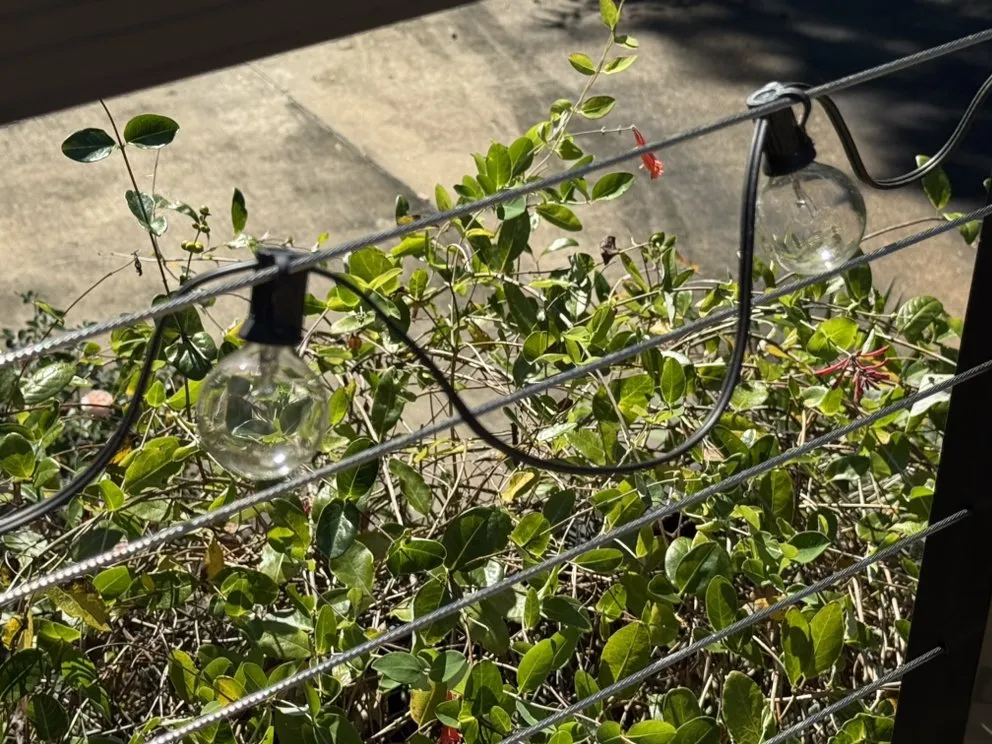 Local garden landscaping near you across Madison, MS - Short Horticulture