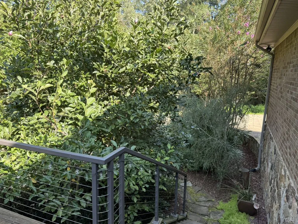 Trusted yard cleanup service in Madison, MS - Short Horticulture