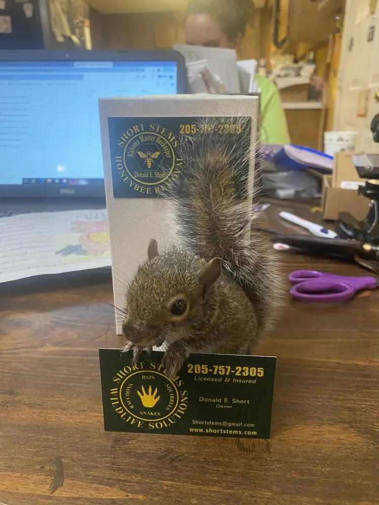 Reliable landscaping services in Clanton, AL - Short Stems Home & Lawn Care Solutions