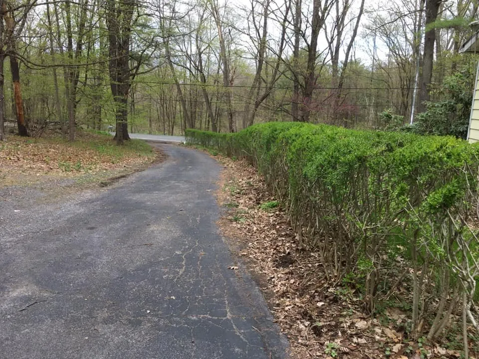 Professional landscape design in South Cairo, NY - Shortcut Lawn Care