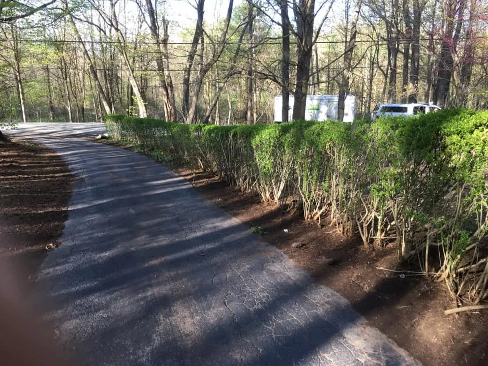 Top-rated landscaping services in South Cairo, NY - Shortcut Lawn Care