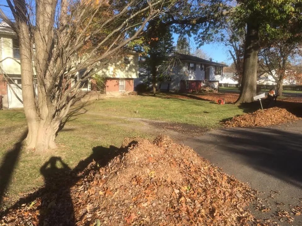 Professional yard maintenance for residential properties in South Cairo, NY by Shortcut Lawn Care