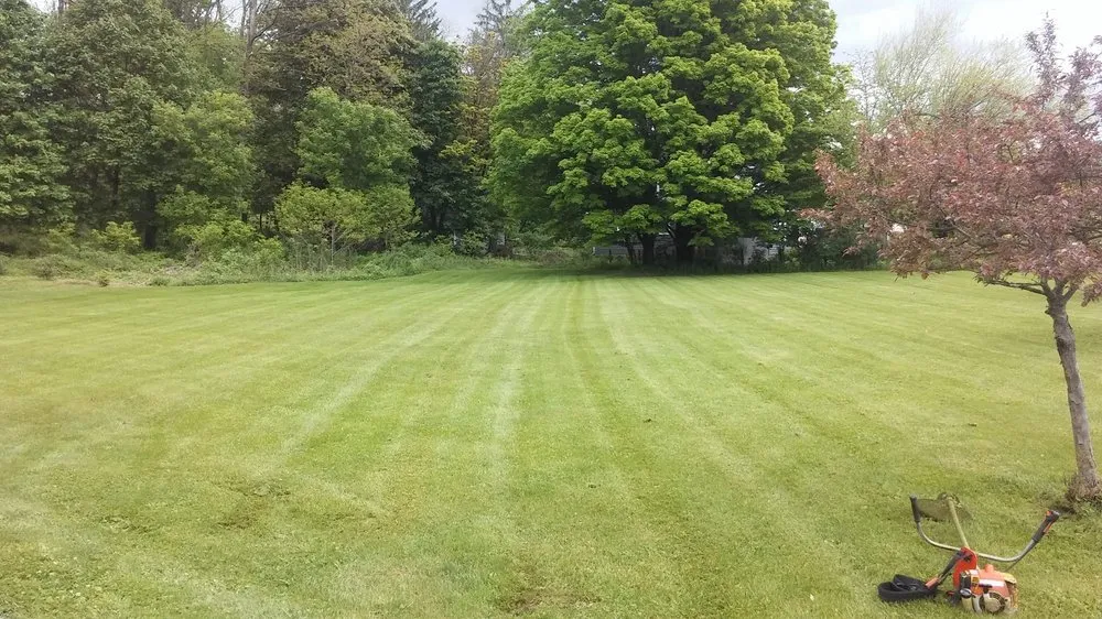 Expert residential landscaping for residential properties across South Cairo, NY - Shortcut Lawn Care