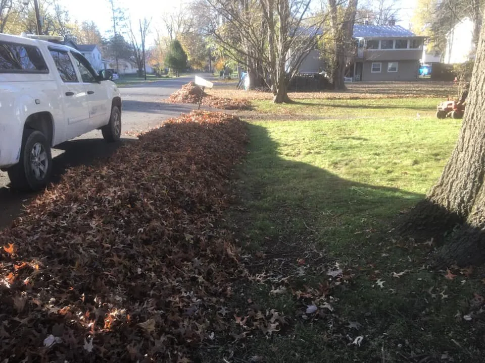 Reliable yard maintenance for year-round maintenance across South Cairo, NY - Shortcut Lawn Care