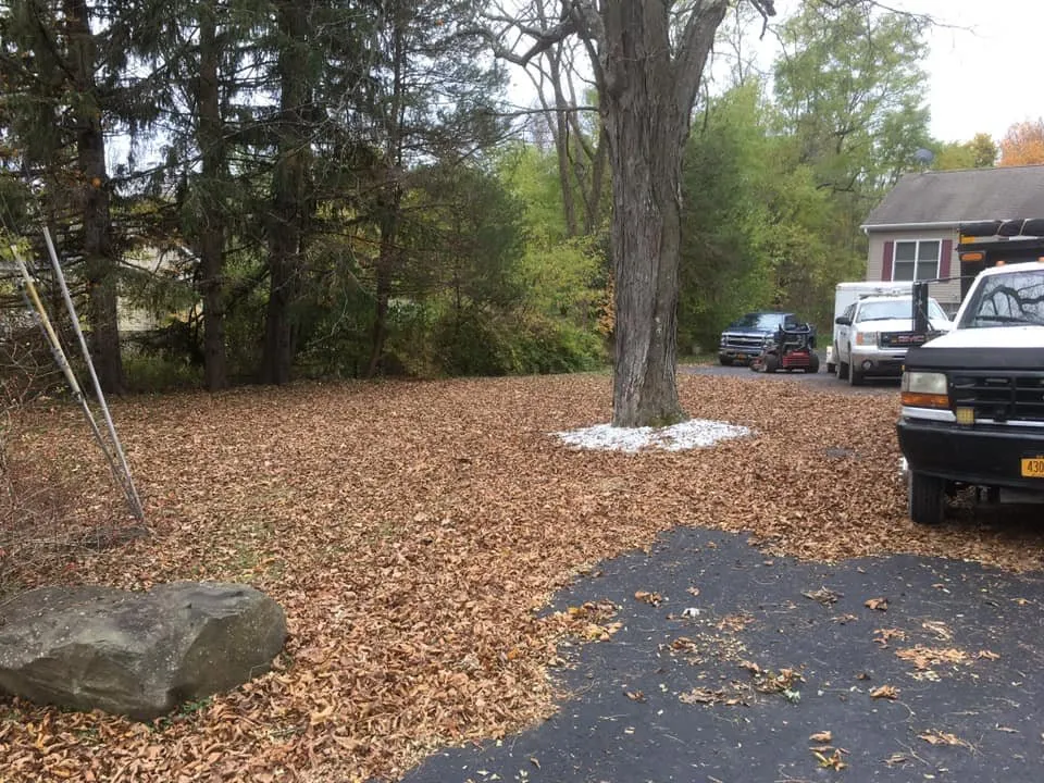 Affordable yard maintenance in South Cairo, NY by Shortcut Lawn Care