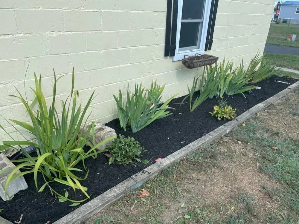 Top-rated landscape installation in Dover, DE by Shortcutz Landscaping