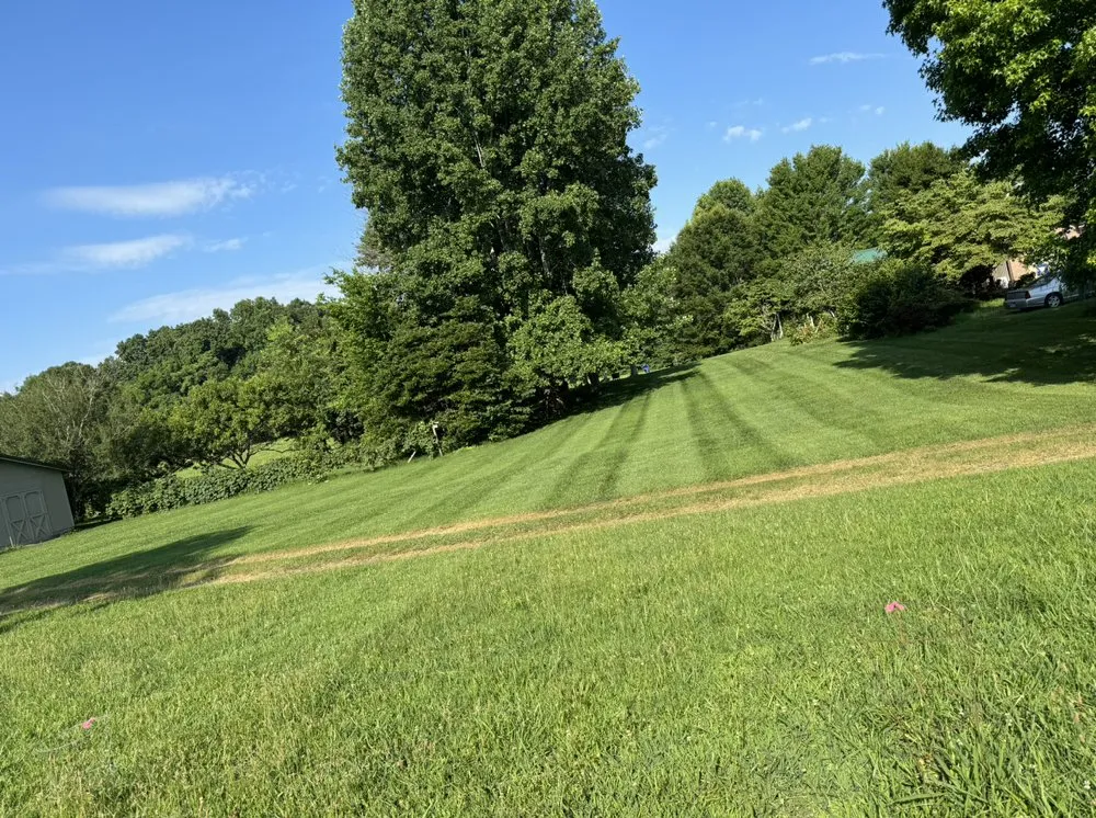 Reliable yard cleanup service for residential properties across Whitesburg, TN - Short’s Lawn Care & Landscaping
