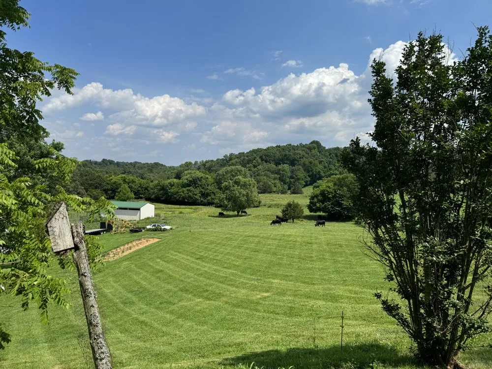 Professional lawn care service for beautiful yards in Whitesburg, TN by Short’s Lawn Care & Landscaping