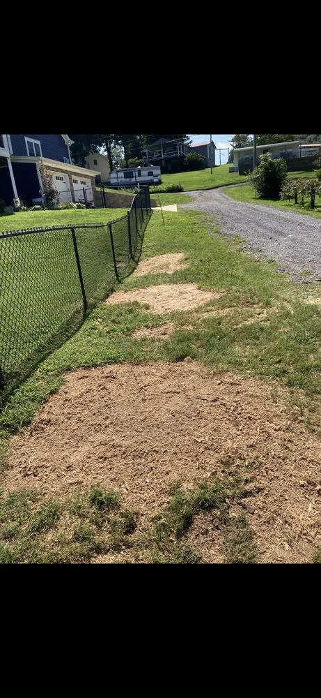 Local residential landscaping experts serving Whitesburg, TN - Short’s Lawn Care & Landscaping
